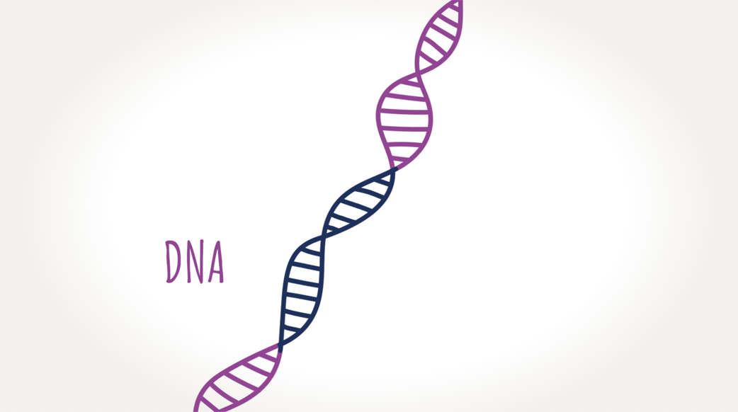 Graphic of DNA