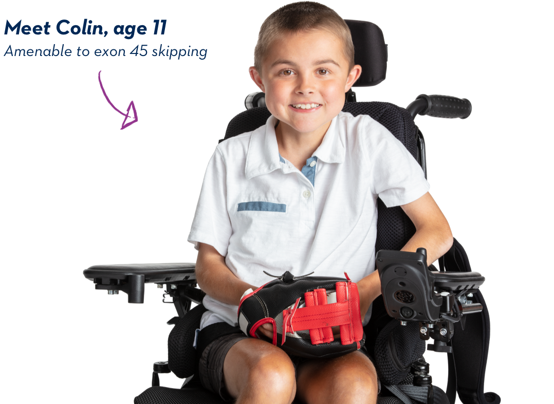 Meet Colin, age 11. Amenable to exon 45 skipping