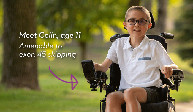 Meet Colin, age 11. Amenable to exon 45 skipping