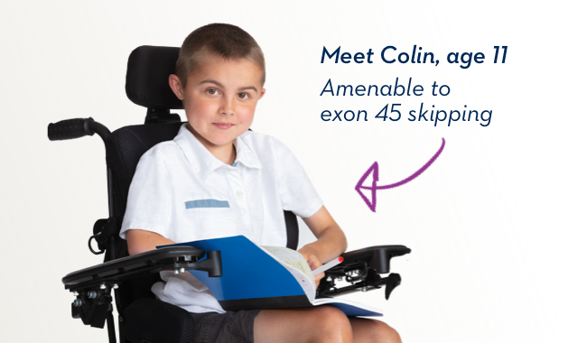 Meet Colin, age 11. Amenable to exon 45 skipping