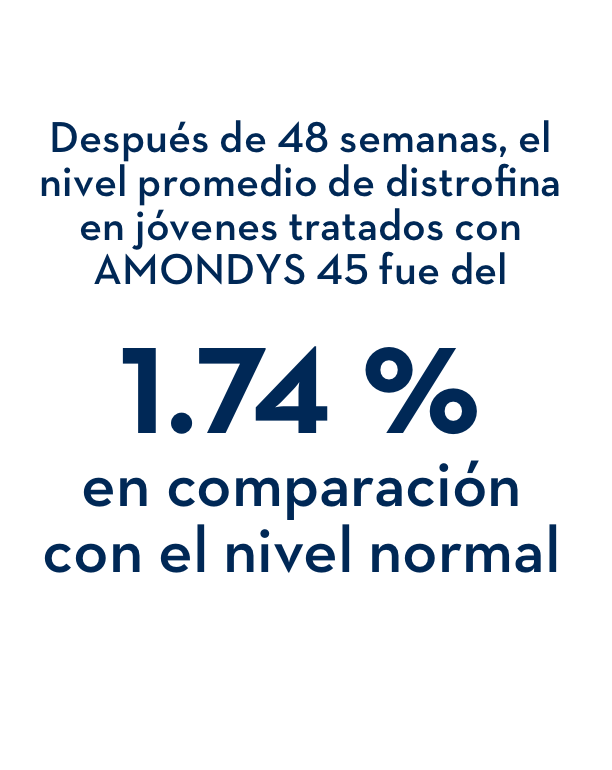 Despu(és de 48 semanas, el nivel promedio de distrofina en jóvenes tratados con AMONDYS 45 fue del 1.74 % en comparación con el nivel normal