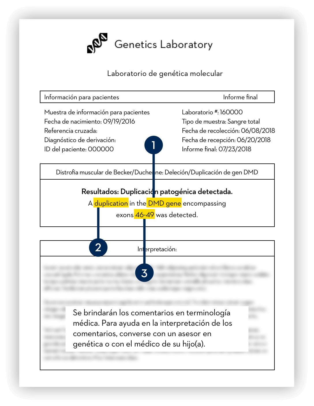 Informes de pruebas genéticas simuladas usados solo para fines ilustrativos